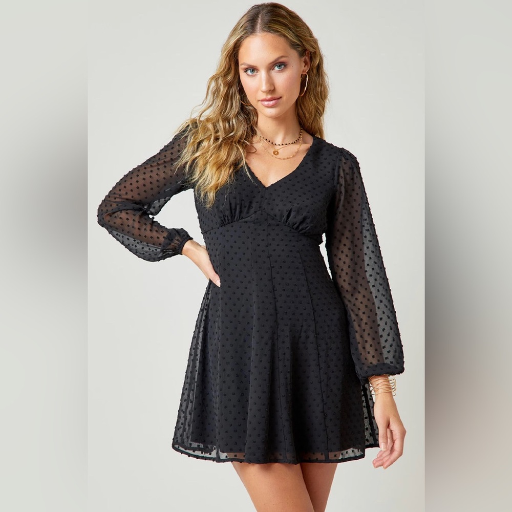 Becca Swiss Dot Babydoll Mini Dress- Black Francesca’s Mini Dress, NWOT